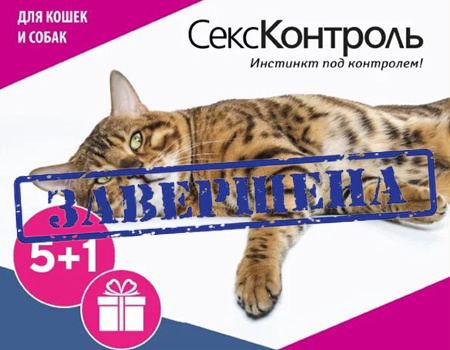 СексКонтроль: 5 + 1 в подарок СексКонтроль: 5 + 1 в подарок