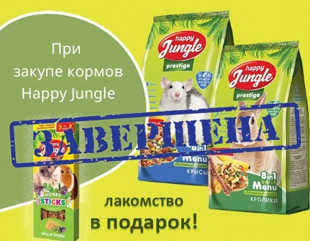 Happy Jungle: подарок при закупе на сумму от 1500руб. Happy Jungle: подарок при закупе на сумму от 1500руб.
