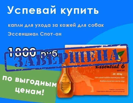 Эссеншиал Спот-он: 1800 руб. за упаковку