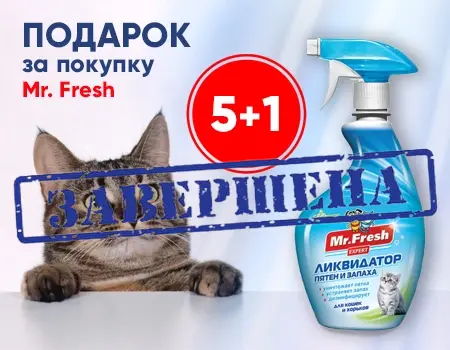 Mr. Fresh: акция 5 + 1 Mr. Fresh: акция 5 + 1