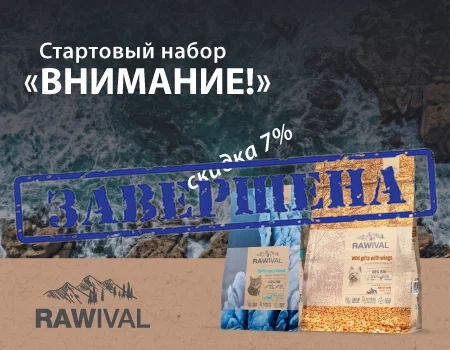 Стартовый набор бренда Rawival  «Внимание!» 