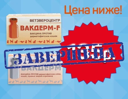 Вакдерм: фиксированная цена 135 руб.