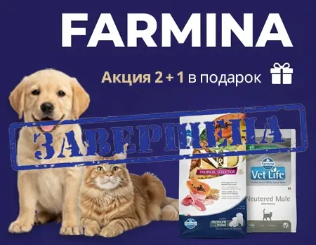 Farmina: акция 2 + 1 в подарок Farmina: акция 2 + 1 в подарок