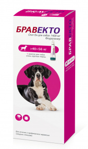 Бравекто СпотОн  (MSD Animal health) 1400мг (1пип) от блох и клещей для собак 40-56кг (на 12 недель) (ЛИЦЕНЗИЯ) фото