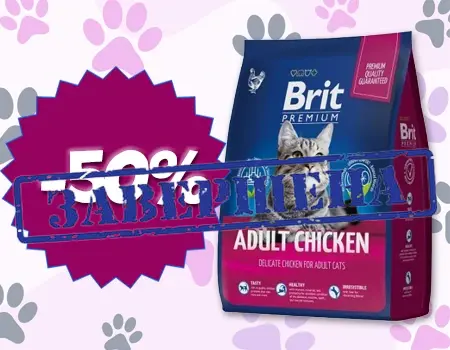 BRIT Premium: скидка 50%