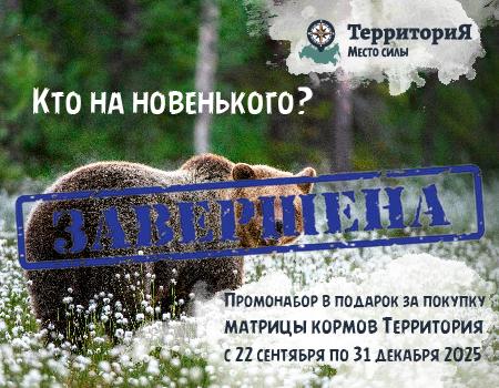 ТерриториЯ: Промо-набор B