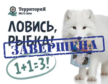 Ловись рыбка. 1+1=3