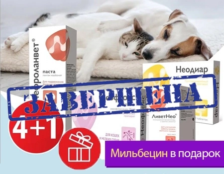 Неодиар, Неофлокс, ЛиветНео, Нефроланвет: акция 4 + 1