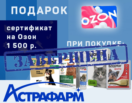 Подарок при покупке БлохНэт max, БлохНэт спрей, БлохНэт Форте, IN-UP complex и Supramil