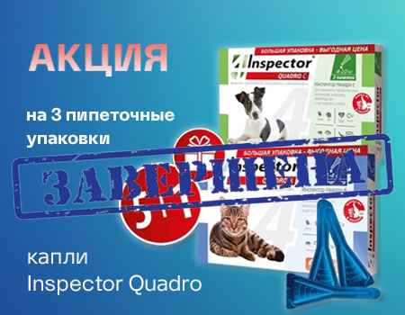 Inspector Quadro: акция 5 + 1 на 3-х пипеточные упаковки