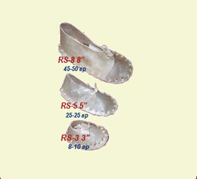 4620003542121.jpg