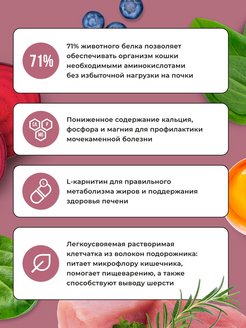 Bowl Wow 0,4кг с индейкой и свеклой сухой для стерилизованных кошек (660125) фото