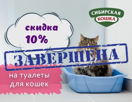 Сибирская кошка: доп. скидка 10% на кошачьи туалеты при заказе от 4шт. Сибирская кошка: доп. скидка 10% на кошачьи туалеты при заказе от 4шт.