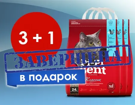 Pi-Pi-Bent: акция 3 + 1 
