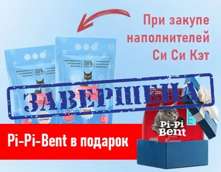 СиСиКэт: подарок за покупку СиСиКэт: подарок за покупку