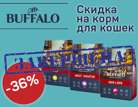 Mr.Buffalo: скидка 36% на сухие корма для кошек