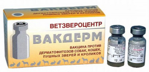 Вакдерм (Ветзвероцентр) вакцина для собак, кошек, пушных зверей и кроликов (ЛИЦЕНЗИЯ) фото