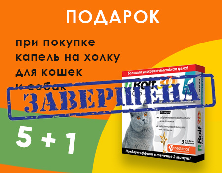 RolfClub: акция 5 + 1 в подарок RolfClub: акция 5 + 1 в подарок