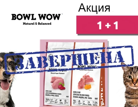 Bowl Wow: акция 1 + 1 в подарок