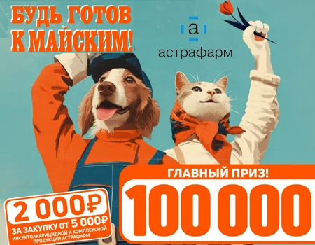БлохНет и Forsecto: розыгрыш призов при закупе продукции