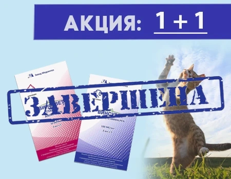 Винсувет: акция 1 + 1 Винсувет: акция 1 + 1