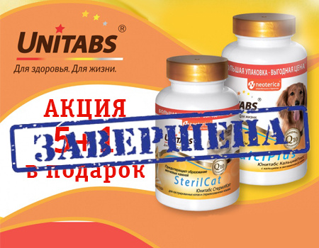 Unitabs: 5 + 1 в подарок Unitabs: 5 + 1 в подарок