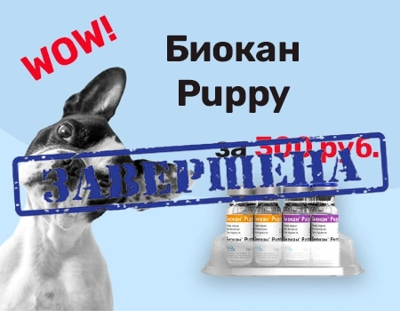 Акция: Биокан Puppy — 300 руб.! Акция: Биокан Puppy — 300 руб.!
