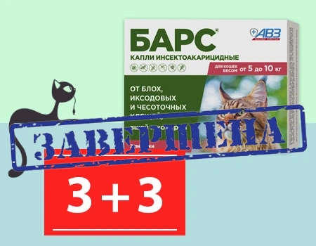 Барс капли: акция 3 + 3
