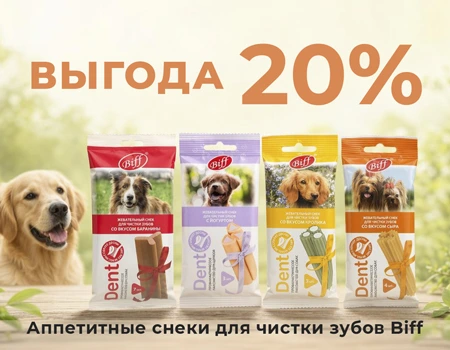 Biff: скидка 20% на лакомства