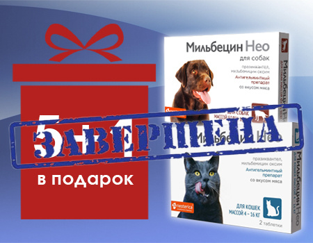 Мильбецин Нео: акция 5 + 1