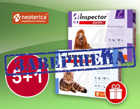 Inspector: 5 + 1 в подарок