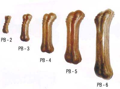 4620003541681.jpg