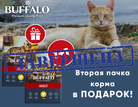 Mr.Buffalo: вторая пачка корма в подарок!
