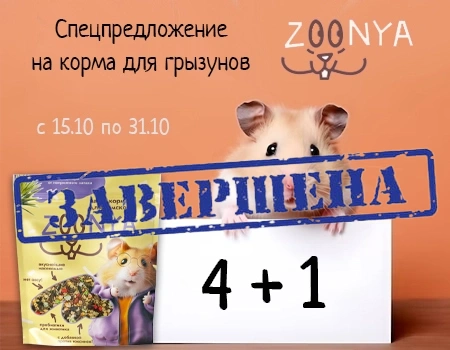 Zoonya: акция 4 + 1 на корма