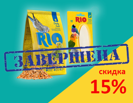RIO: дополнительная скидка 15%
