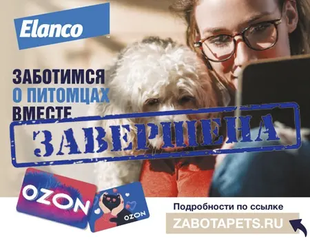 Elanco: программа мотивации для продавцов зоомагазинов