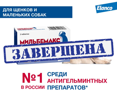 Мильбемакс: выгодное предложение!
