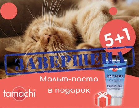 Tamachi: акция 5 + 1