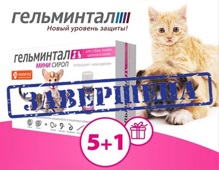 Гельминтал: акция 5 + 1