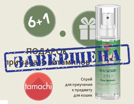 Tamachi: акция 6 + 1 Tamachi: акция 6 + 1