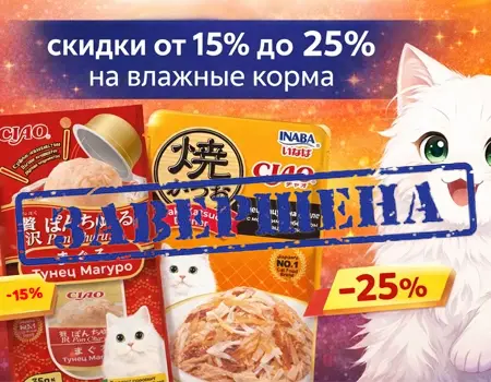 Inaba: скидки 15% и 25% Inaba: скидки 15% и 25%