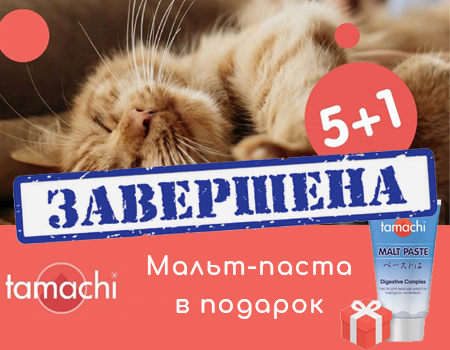 Tamachi: 5 + 1 в подарок!