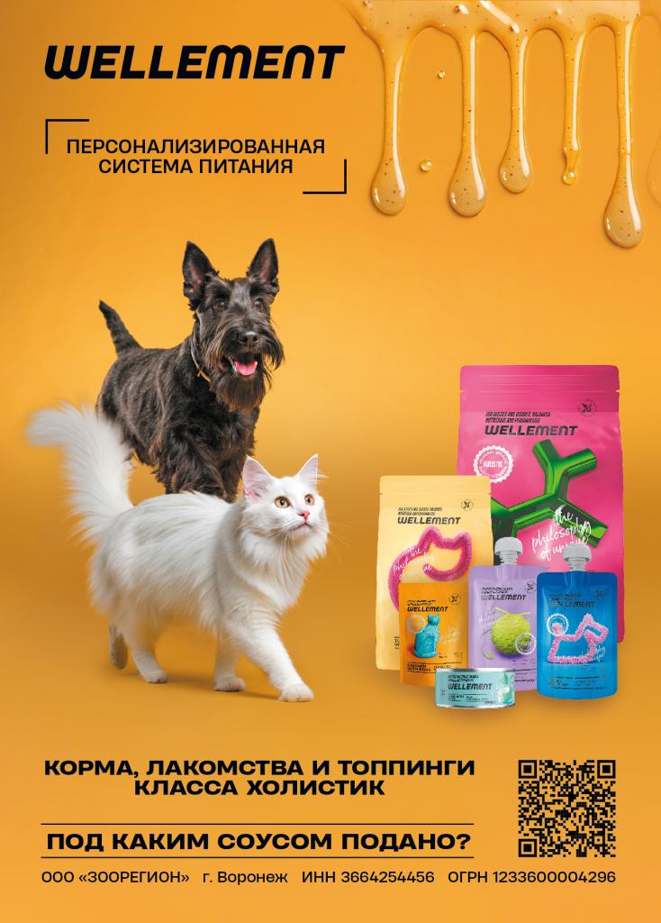 Wellement стикер А4 Воронеж.jpg