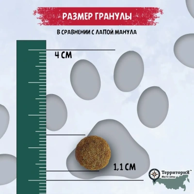 ТерриториЯ Кавказ Индейка с морошкой для кошек крупных пород, 1,5 кг (562722) фото