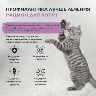 Brit Care Cat Superpremium Kitten 7кг индейка сухой для котят, беременных, кормящих кошек (5066063) фото