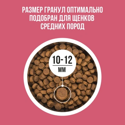 Bowl Wow 0,8кг ягненок, индейка с рисом и брусникой сухой для щенков средних пород  (662020) фото
