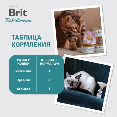 Brit Fish Dreams Tuna & Salmon 0,08кг тунец и лосось консервы для кошек (527908) фото