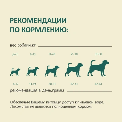 TiTBiT 0,017кг жевательные палочки лакомство с мятой для собак М (17г х  25шт) фото