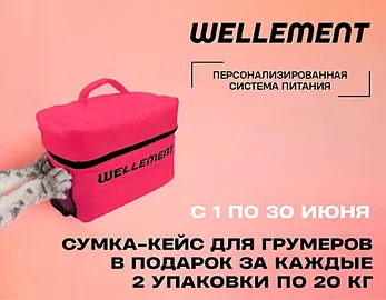Wellement: сумка-кейс в подарок