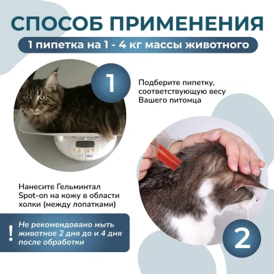 Гельминтал К Spot-on (3пип) капли на холку от блох, клещей и глистов для кошек и котят до 4кг (ЛИЦЕНЗИЯ) фото